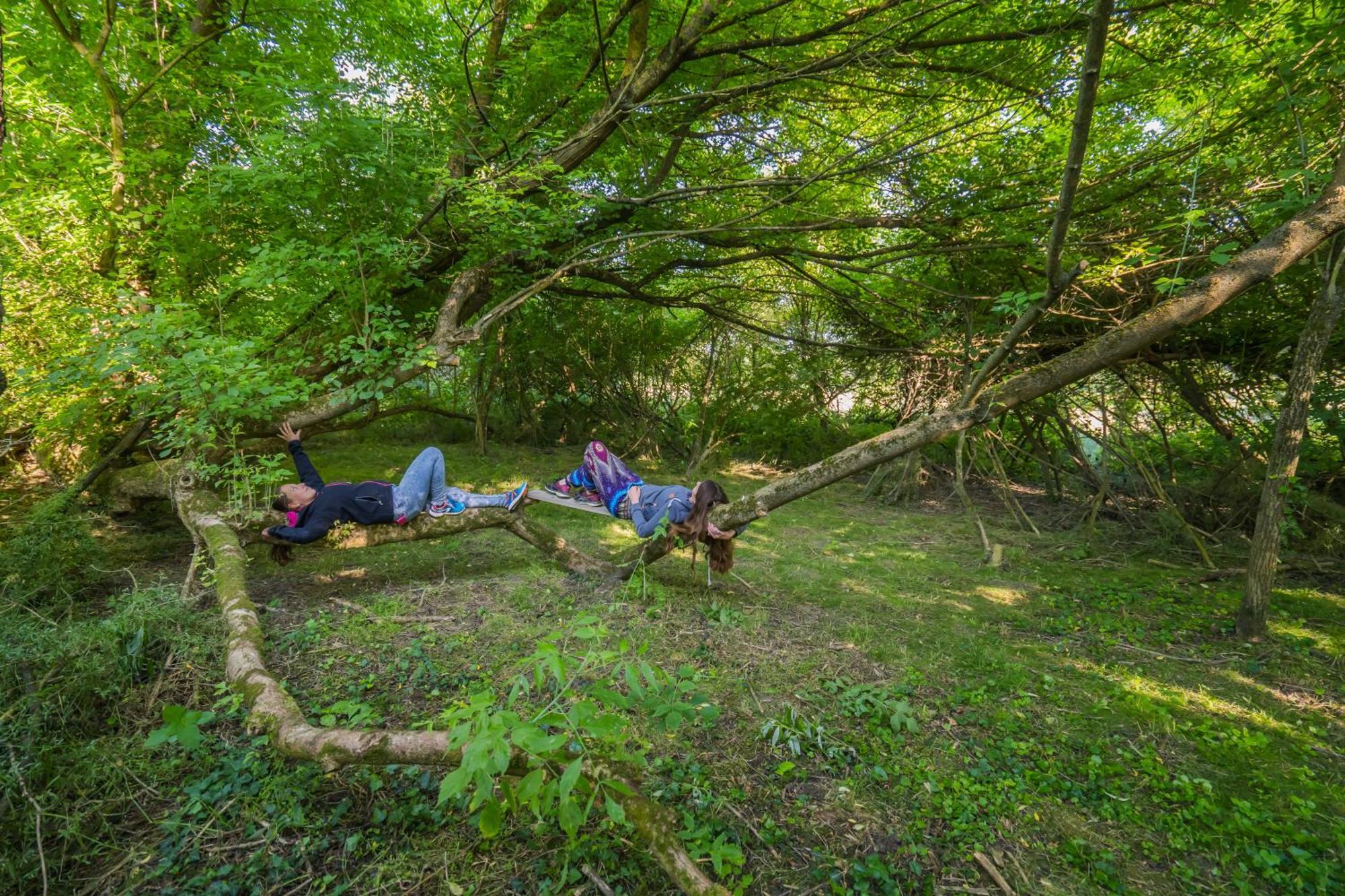 Szellos Ret Camping Balvanyos Εξωτερικό φωτογραφία